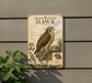 a metal sign with a detailed illustration of a broad-winged hawk, mounted on a wall.