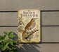 a vintage-style field guide to American birds, specifically the Brown Thrasher, mounted on a wall.