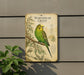 a vintage-style metal plaque with a detailed illustration of a Budgerigar Green parrot perched on a branch.