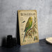 A vintage-style metal sign titled "Budgerigar" is displayed on a table, featuring an illustration of a Budgerigar parrot perched on a branch.