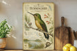 a vintage-style illustration of a Buff-bellied Hummingbird perched on a branch, surrounded by various natural elements such as flowers and pine cones.