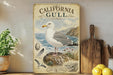 a vintage-style poster of a California gull, a seabird, displayed on a wall. The poster includes illustrations of the bird, its natural habitat, and some text. The poster is surrounded by various kitchen items, such as a cutting board, a lemon, and a potted plant.