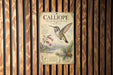 A vintage-style poster of a Calliope hummingbird is displayed on a wooden wall.