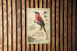 a poster with a bird illustration and text, hanging on a wooden wall.