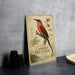 a vintage-style metal sign with a colorful illustration of a bird, specifically a carmine bee-eater, perched on a branch. The sign is placed on a gray countertop, with a stack of black camera lenses and a white dish visible to the side.