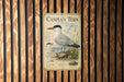 A vintage metal plaque with illustrations and text about the Caspian Tern, a large seabird, is mounted on a wooden wall.