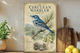 a vintage-style poster of a blue bird perched on a pine branch, surrounded by pine cones and leaves, placed on a shelf next to a wooden cutting board and a potted plant.