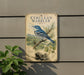 a vintage-style metal sign with a blue and white illustration of a Cerulean Warbler perched on a pine branch, set against a natural background.