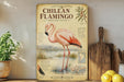 A vintage-style poster of a pink flamingo is displayed on a shelf, accompanied by a wooden paddle and a potted plant.