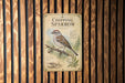 a vintage-style metal sign with a sparrow illustration, mounted on a wooden wall.