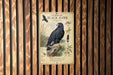 a metal sign with an illustration of a black hawk, mounted on a wooden wall.