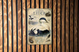 a vintage-style poster of a Common Eider bird, which is a type of sea bird, displayed on a wooden wall.
