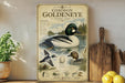a vintage-style poster of a Common Goldeneye, a type of duck, with illustrations and text providing information about the bird.