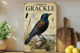 a vintage-style poster of a Common Grackle bird, with illustrations of the bird, its habitat, and its scientific name. The poster is displayed on a shelf next to a wooden cutting board and a potted plant.