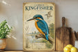 a framed illustration of a kingfisher bird, a type of wading bird, perched on a branch. The frame has a vintage-style design with ornate lettering and illustrations. The bird is depicted in a detailed and realistic manner, showcasing its vibrant colors and distinctive features. The frame is placed on a shelf, surrounded by various kitchen utensils and a potted plant, creating a cozy and homey atmosphere.