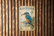 a poster of a kingfisher bird perched on a branch, with a detailed illustration of the bird and its natural habitat.