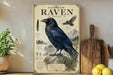 a vintage-style illustration of a black raven, accompanied by various bird-related illustrations and text.