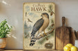 A framed illustration of a Cooper's Hawk, a bird of prey, is displayed on a shelf next to a wooden cutting board and some potted plants.