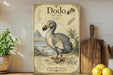 a poster of a dodo bird, which is a flightless bird native to Mauritius. The poster includes a detailed illustration of the dodo, along with its scientific name, name, and other relevant information. The poster is displayed on a shelf, surrounded by various kitchen utensils and a potted plant.