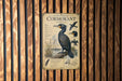 a poster or sign with illustrations and text about the Double Crested Cormorant, a large black bird with a distinctive crest.