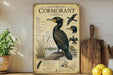 a vintage-style poster of a cormorant bird, with illustrations and text providing information about the species.