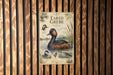 a poster of a water bird, specifically a duck, with illustrations and text about the bird.