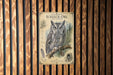a poster of an owl, with a detailed illustration of the bird perched on a branch.