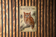 a poster of an Eastern Screech- Owl, with a detailed illustration of the bird and its natural habitat.