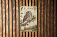 an illustration of an elf owl perched on a branch, surrounded by various wildlife elements such as pine trees and mountains.