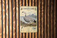 a poster of an Emperor Goose, which is a large, long-legged bird with a distinctive appearance. The poster is mounted on a wooden wall with vertical slats.