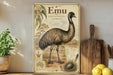 a vintage-style poster of an emu, a large flightless bird, with illustrations and text about the species.