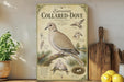 The image is a poster or painting of a collared-dove, featuring illustrations of the bird in various poses and natural settings.