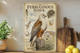 a vintage-style field guide to the North American Ferruginous Hawk, with illustrations of the bird, its nest, and various other elements. The guide is displayed on a shelf next to a wooden cutting board and a potted plant.