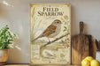 a vintage-style poster of a field sparrow perched on a branch, surrounded by illustrations of plants and a map of North America.
