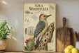 A framed illustration of a gila woodpecker, a species of woodpecker, is displayed on a shelf next to a potted plant and a cutting board.