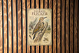 a poster of a gilded flicker, a type of bird, mounted on a wooden wall.
