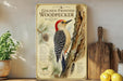 a framed illustration of a golden-fronted woodpecker, with text providing information about the species. The woodpecker is perched on a tree trunk, surrounded by pine cones and pine needles. The text on the frame includes the title "Golden-Fronted Woodpecker" and the subtitle "Mesopelonursi aureus", indicating that it is a species of woodpecker. The frame is placed on a wooden shelf, with a potted plant and a cutting board visible in the background.