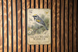 a vintage-style poster of a golden-winged warbler, mounted on a wooden wall.