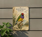 a colorful illustration of a multicolored bird, specifically a Gouldian finch, perched on a branch.