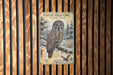 A metal sign featuring a detailed illustration of a great gray owl in a snowy forest setting.