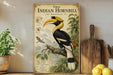 a vintage-style poster of a hornbill bird, with illustrations and text providing information about the species.