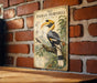 A vintage-style illustration of a hornbill bird is displayed on a brick wall, with text providing information about the bird.