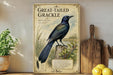 a framed illustration of a Great-tailed Grackle, a bird with a blue and black plumage, perched on a tree stump. The bird is surrounded by lush greenery, and the image is set against a rustic wooden background.