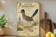 a vintage roadrunner poster on a wall, surrounded by kitchen utensils and a potted plant.
