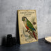 a vintage-style illustration of a green-cheeked conure parrot perched on a branch, with pine cones and other natural elements surrounding it.