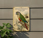 A vintage-style metal plaque with a colorful illustration of a green-cheeked conure parrot perched on a branch, surrounded by pine cones and foliage.