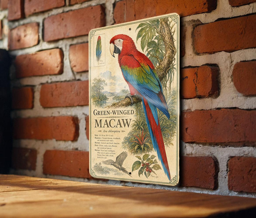 a vintage-style metal sign with a colorful illustration of a green-winged macaw perched on a tree branch.