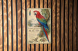 A metal sign with a colorful parrot illustration and text, mounted on a wooden wall.