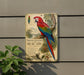 a colorful parrot, specifically a macaw, perched on a branch.