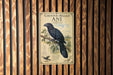 a vintage-style illustration of a black bird, likely a crow, perched on a branch. The bird is depicted in a detailed and realistic manner, with its feathers and wings clearly visible. The illustration is set against a wooden background, which complements the overall aesthetic of the image.